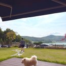 스테이포브 이미지