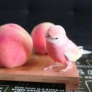 데칼코마니 이미지