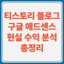 티스토리 블로그 + 구글 애드센스 현실 수익 분석 총정리(+수익 가능)