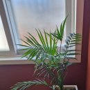 내백경로당 이미지