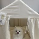담담 그루밍 샵 이미지