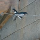 종현농장 이미지