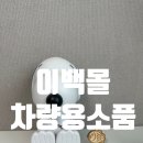 차량인테리어소품 차량용품선물 행운부적 편백나무 붕어빵 이백몰 구매후기