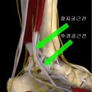 포시즌필라테스