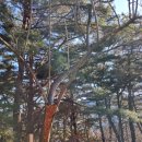 산청국민체육센터 헬스장 이미지