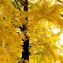 정촌농장 이미지