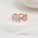 클라비스 이미지