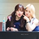 애들라인