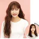 가발의 발견