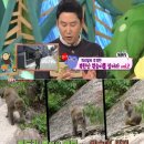 미문농장 이미지