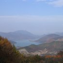 덕산면067 티스토리