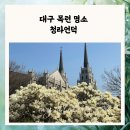 목련시장 | 대구사진명소 추천 청라언덕 대구 목련 개화 상태 후기