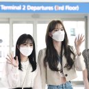 사쿠라 뉴스엔