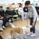 대양산업 | 학교진로체험] 한 번'만' 진행하는 학교는 없다! 화성대양초등학교 전교생 직업체험 후기 X 어스진로센터