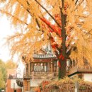 별미삼청수제비 이미지