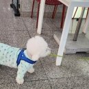 지마트 이미지