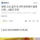 창원 고교 급식 도시락 반찬에서 벌레 나와…4일간 두번 이미지