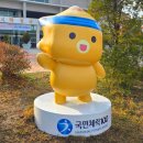 조형물2 | 국민체력100 코리요 FRP 조형물 제작 후기 &amp; 제작 과정 완벽 정리