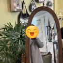 [팔공산] 카페 추천 헤이마 / 다반트 커피