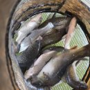 마정낚시터 이미지