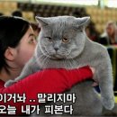 덕정2통(융보) 이미지