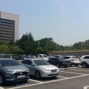 K리그1 10R 동해안더비 포항:울산전 직관후기
