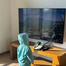 동 막 | 천안 소노벨 웨스트동 스위트A 스텐다드룸 _ 눈썰매장 스노우어드벤처&amp;조식 후기