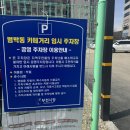 밝은 햇살과 잘 어우러지는 식당 부천양식 맛집 레오스토랑 후기
