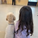 애견프라자 | 인천 청라 애견카페 강아지유치원 애견 없이 방문한 칸지독 내돈내산 후기