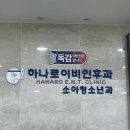 하나로이비인후과의원 네이버블로그
