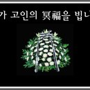 김미강 Daum카페