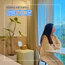 강릉 게스트하우스 더 다온 감성숙소 혼자여행 내돈내산 후기