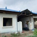 로얄페이퍼하우스 이미지