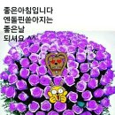 엔돌핀 이미지