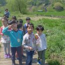 혜림유치원 이미지