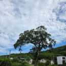 소랑소랑 인제주 이미지