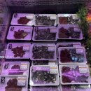 한우구이구이가 이미지