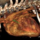 천안24시스카이동물메디컬센터 이미지