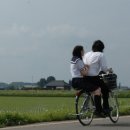 소금 이미지