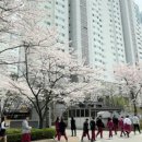 게이트49양지