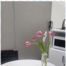 송도탑부동산공인중개사사무소 이미지