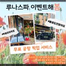 다낭 롯데마트 픽드랍 가격 저렴한 루나스파