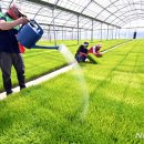 이천-대월-2003 이미지