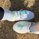 노을길 | 무안해안노을길걷기및마라톤대회 다녀온후기