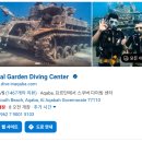 대일과자 | 요르단 신혼여행 아카바 스쿠버다이빙 추천 Coral garden diving center Aqaba 예약 방법 및 후기