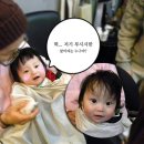 이끼헤어 - 마포구 | 이끼헤어