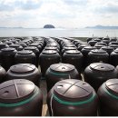 주식회사정치망1 이미지