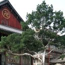 백송식품(주) 이미지