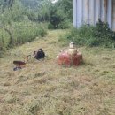 야시대농장 이미지