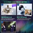 옐로나이프 오로라 투어 오케이투어 3박 4일 호텔 헌팅 뷰잉 예약 후기